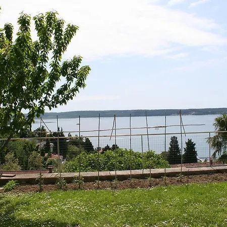 View *